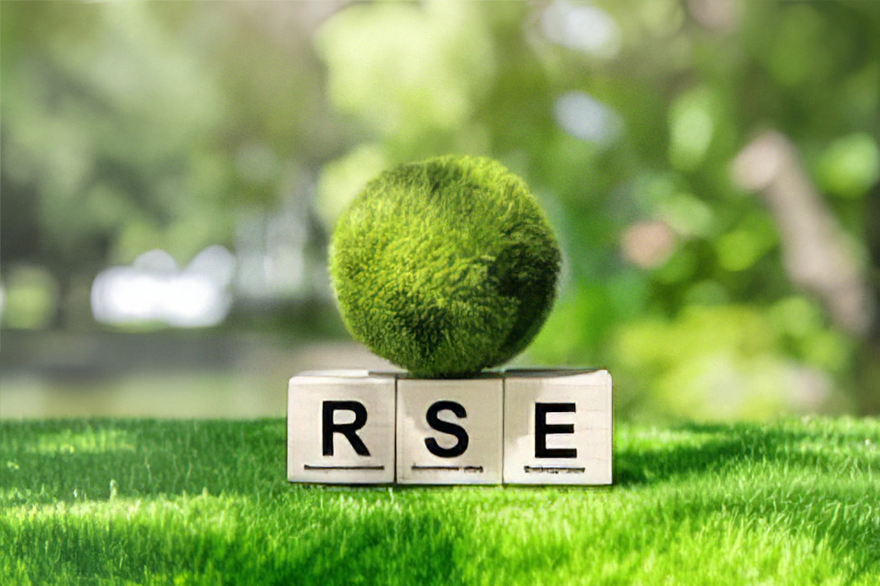 Logo La RSE