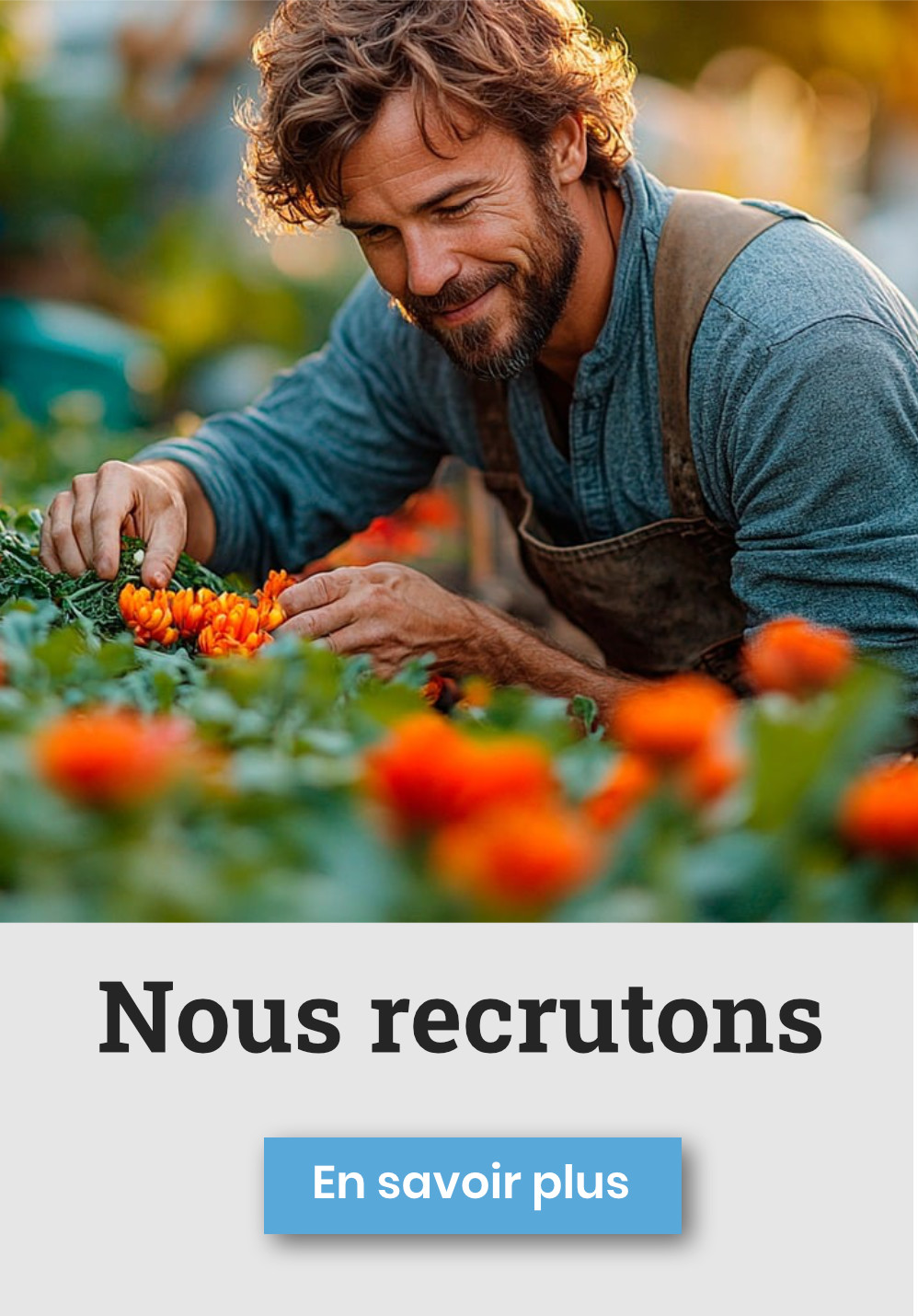 Nous recrutons